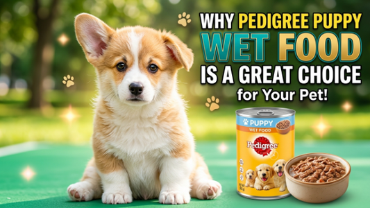 Why pedigree puppy wet food Is a Great Choice for Your Pet