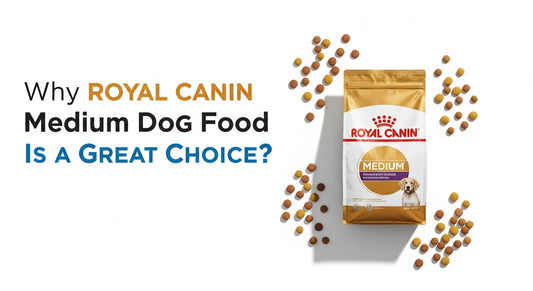 Why royal canin medium dog food Is a great choice?