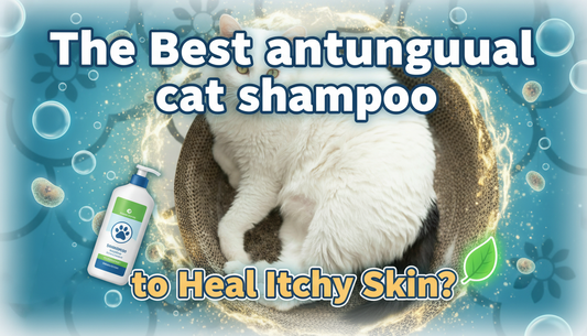 The Best antifungal cat shampoo to Heal Itchy Skin?