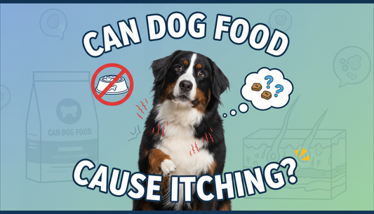 Can dog food cause itching and How to Help?