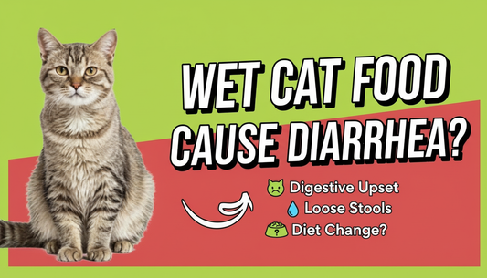 can wet cat food cause diarrhea?