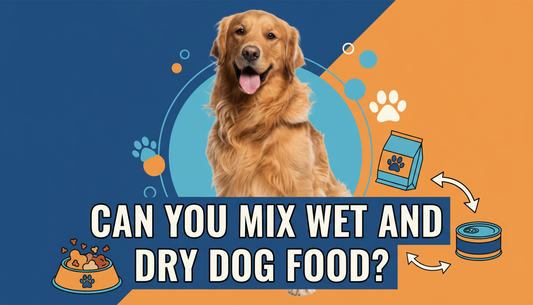 Can you mix wet and dry dog food?