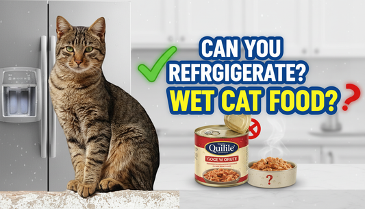 Can you refrigerate wet cat food in the Fridge to Keep It Fresh?