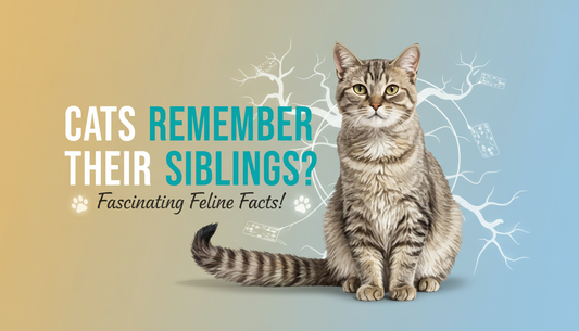 Do cats remember their siblings?