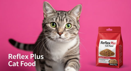 Why reflex plus cat food is a top choice for pet owners