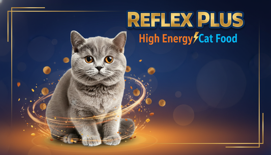 Reflex Plus High Energy Cat Food