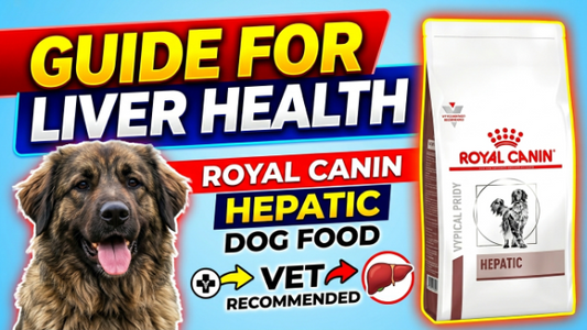 Royal canin hepatic dog food  Guide for Liver Health