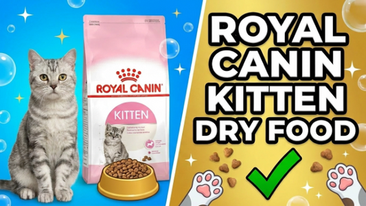 Royal canin kitten dry food