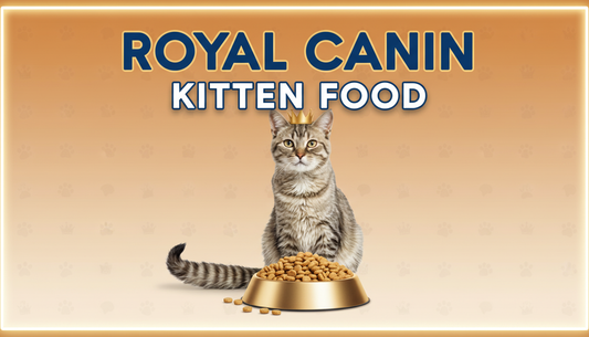 Why royal canin kitten food Is Great for Your New Pet