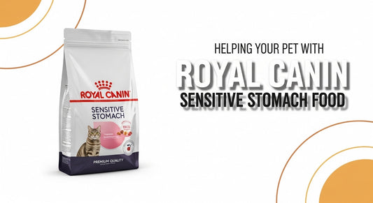 Helping Your Pet With Royal Canin Sensitive Stomach Food