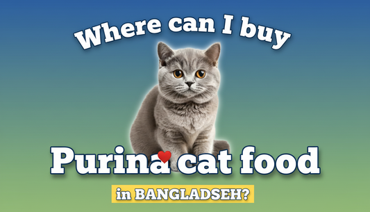where can I buy Purina cat food in bangladesh