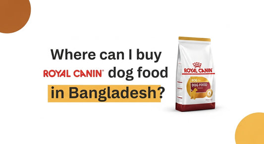 where can I buy Royal Canin dog food in bangladesh