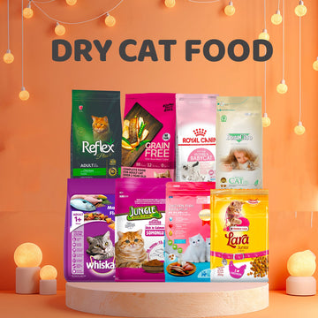 Cat Dry Food