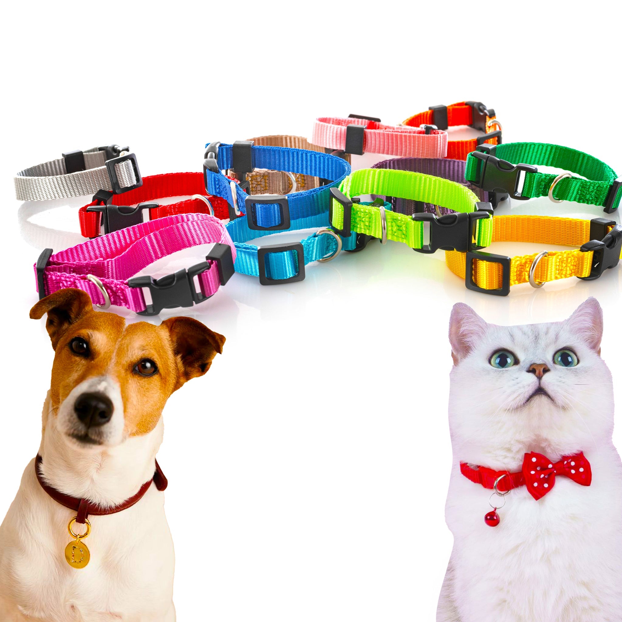 Pet Collars