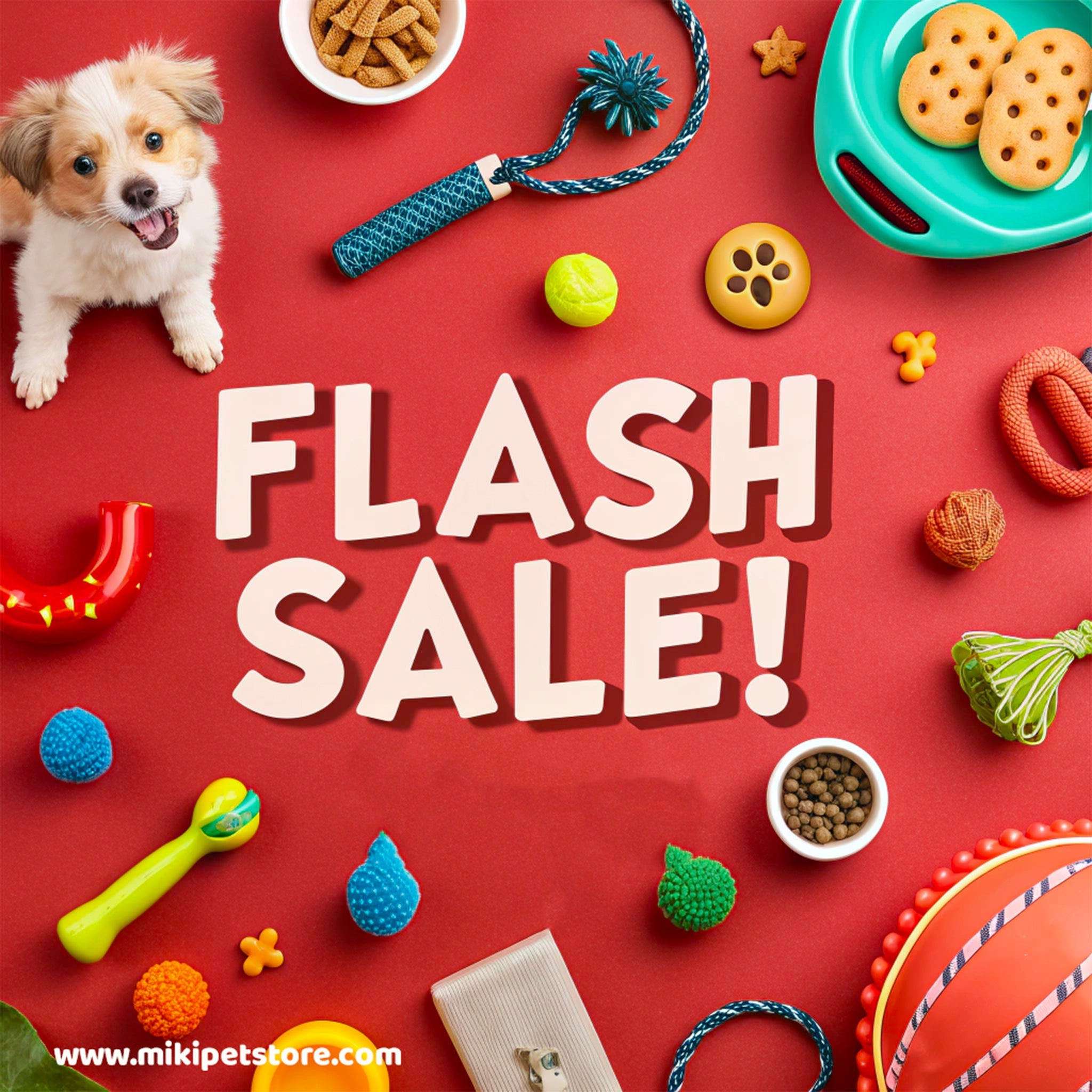 Flash Sale