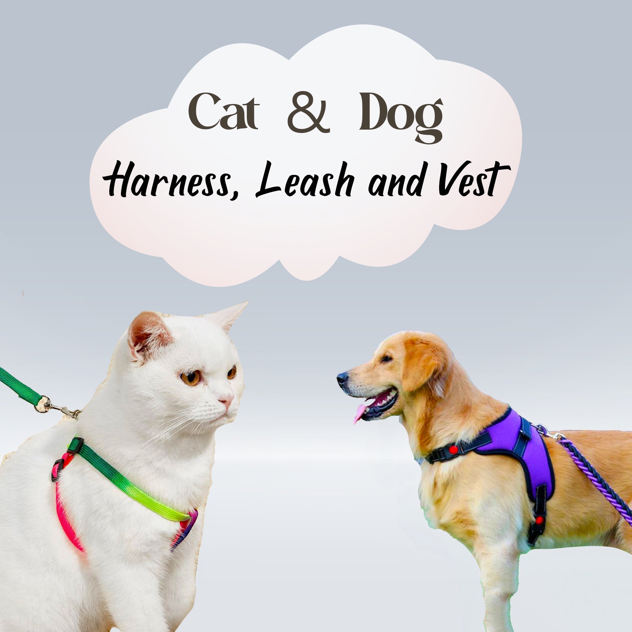 Pet Harness, Leash and Vest