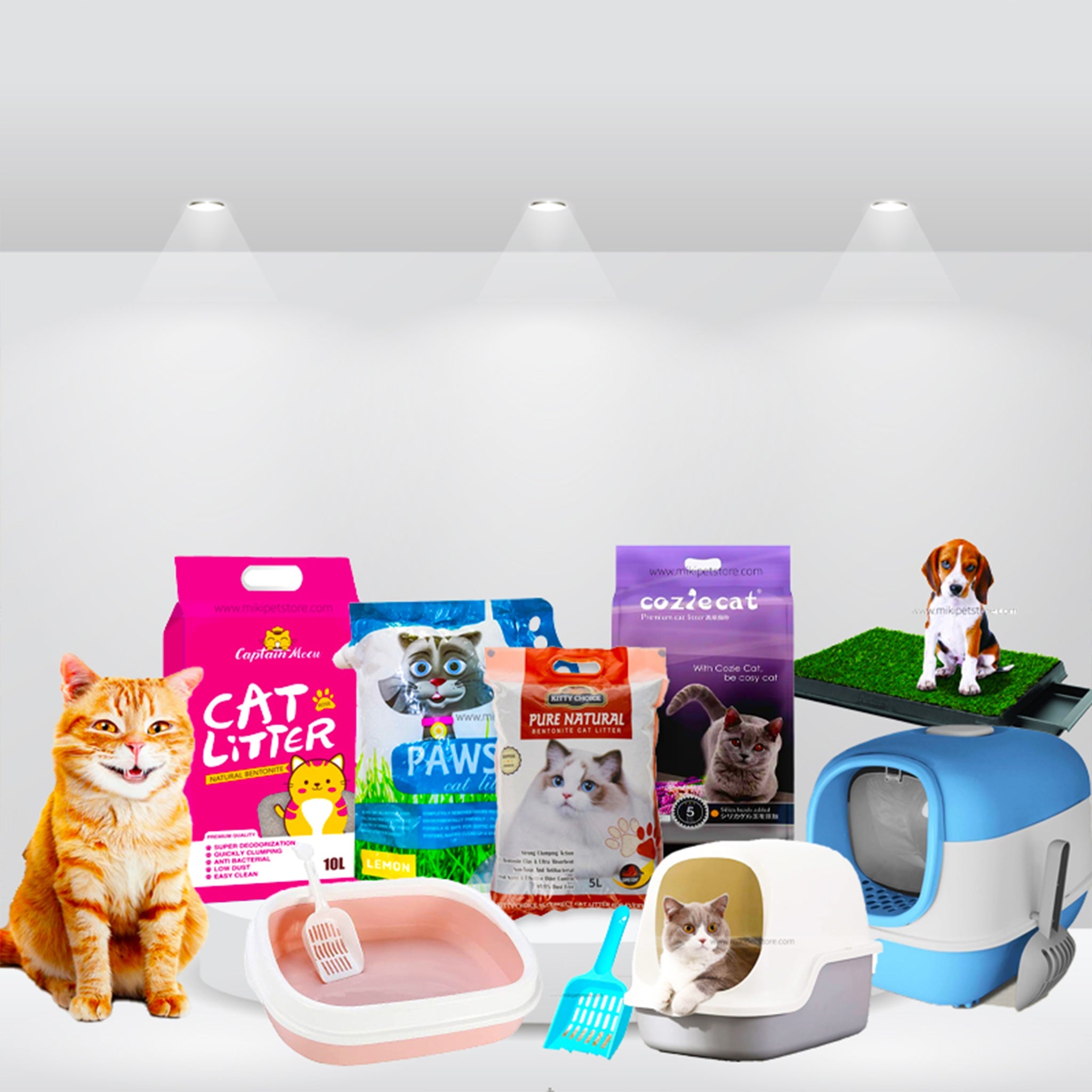 Litter and Litter Box