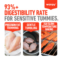 Wanpy Oven Roasted Dog Treat Chicken Jerky 100gm