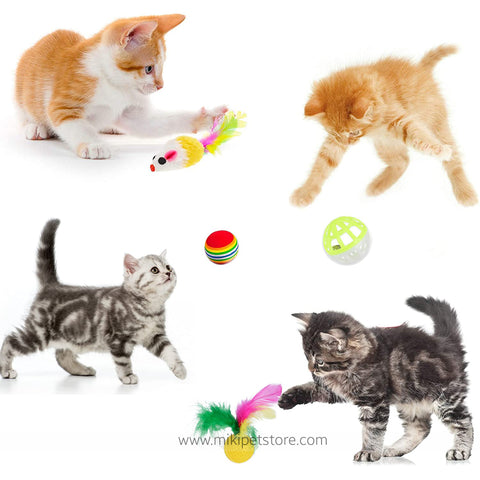 21 Piece Cat Toy Assortment Set