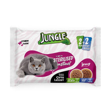 Jungle Adult Sterelised Cat Wet Food Double Flavor Salmon and Beef 4x100g