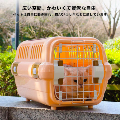 Two Door Hard Shell Pet Drive & Carrier with Skylight 48x32x30 cm