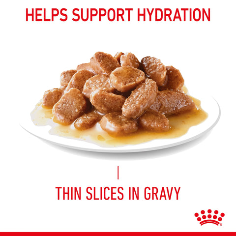 Royal Canin Digestive Care in Gravy 85g Wet Food