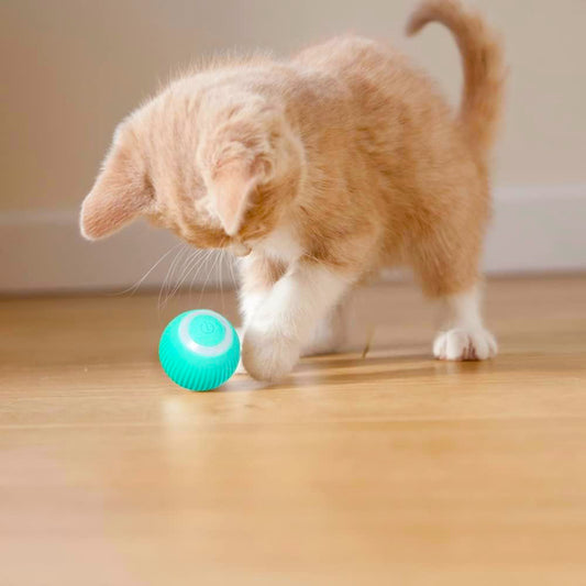 360° Self-Rotating Cat Ball Toy – USB Rechargeable Interactive Roller for Kittens