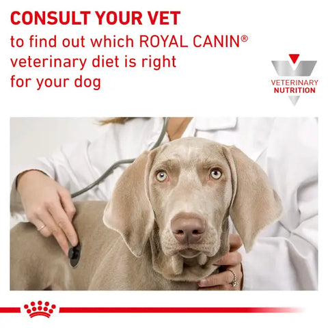 ROYAL CANIN®  Renal Dry food for dogs