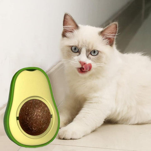 Avocado Shape Rotatable Catnip Ball Toy for Pet Cat