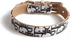 Pet Collar Dog Collar Metal Buckle Dog Collar