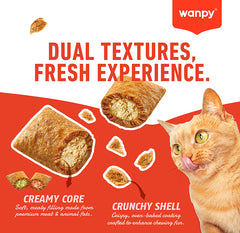 Wanpy Crunchy Pockets Salmon Crunch with Soft Filing Cat Treat 60gm