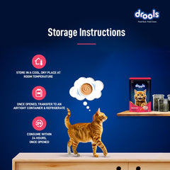 Drools Adult Cat Pouch Salmon Mousse Flavor 80g