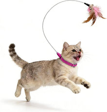 Cat Collar Toy Interactive Teasing Wand Kitten