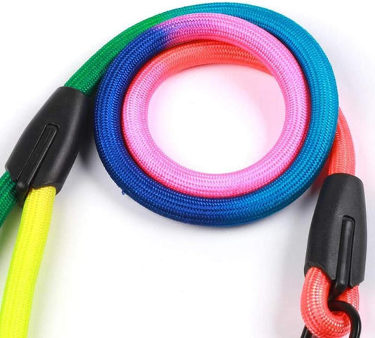 Small and medium  Dog Collar Colorful Rainbow Harness Leash Walking Harness Lead Colorful Rope Nylon