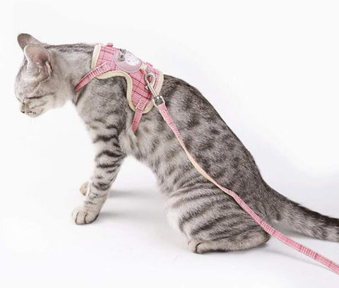Pet Nylon Mesh Harness and Leash Set for Cats and Dogs  Adjustable Vest Harness
