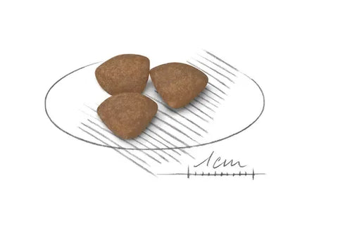 Royal Canin Mini Puppy Dog Dry Food