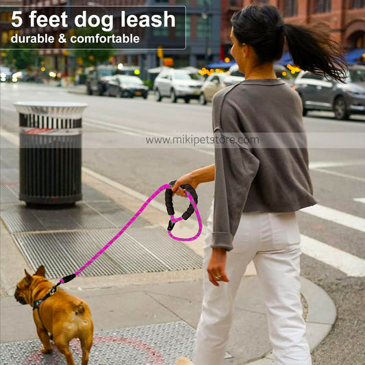 Reflective Nylon Rope Dog Leash – 5 Feet with Padded Handle for Comfort & Control