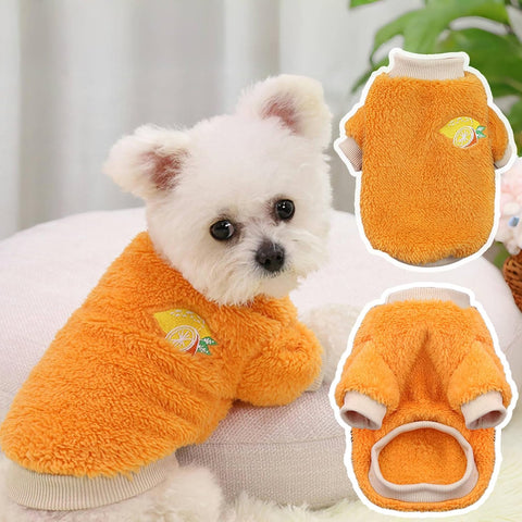 Cat and Small Dogs Coat Fruit Pet Clothes Ropa Perro York
