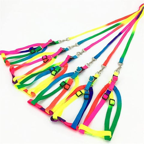 Rainbow Adjustable Cat Harness and Leash Set  Colorful Nylon Walking Harness for Cats