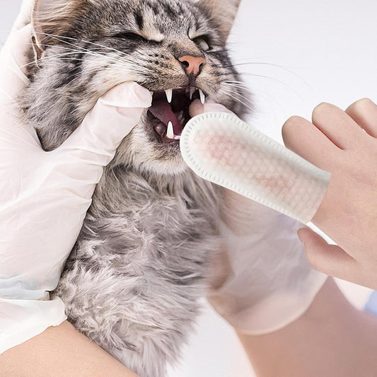 Dog & Cat Finger Tooth Wipes 50PCS