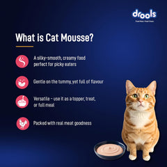 Drools Adult Cat Pouch Salmon Mousse Flavor 80g