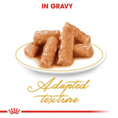 Royal Canin Wet Food British Shorthair  Gravy Adult Pouch 85g