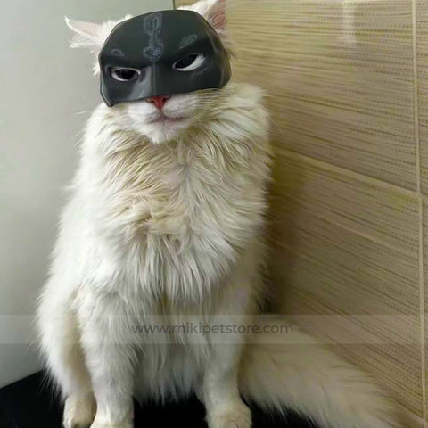Bat Avenger Cat Mask New Plastic Pet Cat Dog Decoration for Halloween Cosplay Cat Mask