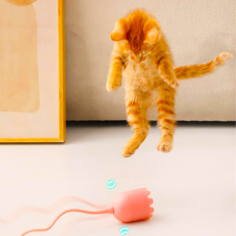 Electric Cat Teaser & Auto Rolling Ball Toy