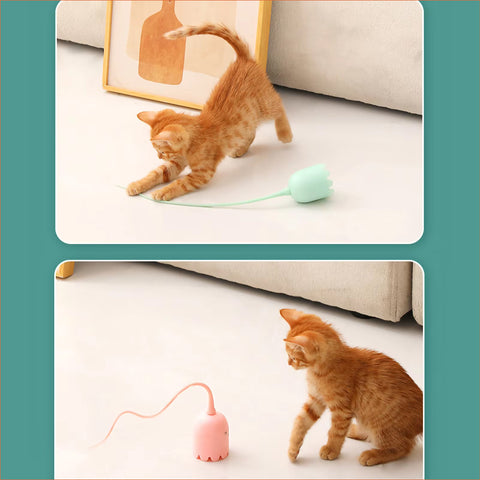 Electric Cat Teaser & Auto Rolling Ball Toy, cat toy , cheap ball for cat