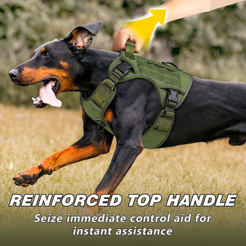 Durable Tactical Dog Vest Harness in Bangladesh