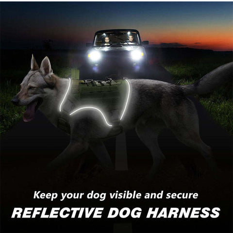 Durable Tactical Dog Vest Harness in Bangladesh