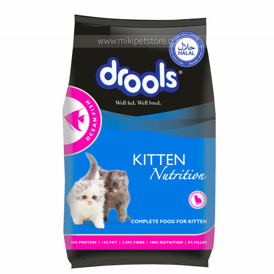 Drools Kitten Cat Food Ocean Fish Flavour