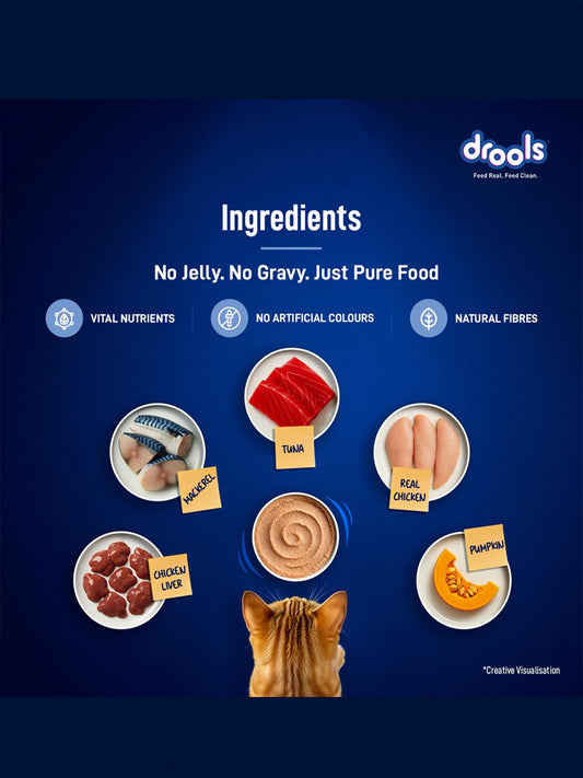 Drools Adult Cat Pouch Ocean Fish Mousse Flavor 80g