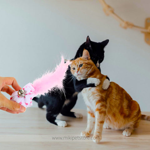 Cat Ball Toy Dot Hollow Star Cat Bell Ball Feather Cat Toy